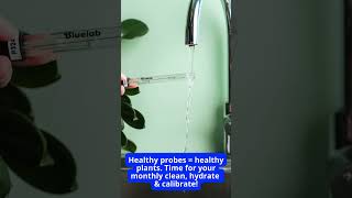 Have you cleaned, hydrated, and calibrated your probes this month?