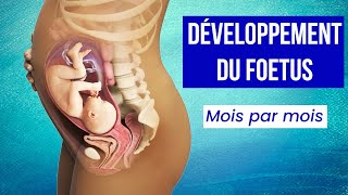 LA GROSSESSE : Le Développement du Foetus Mois par Mois screenshot 2