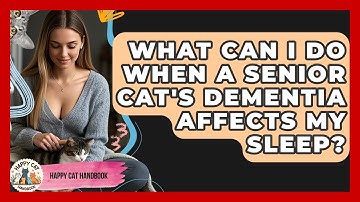 What Can I Do When A Senior Cat