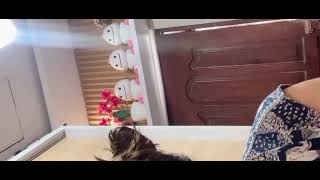 BIGO LIVE PLEASE HELP ME GET OUT - BEAUTIFUL AUNT SHAKING THE BOOT MAKES IT TENSE
