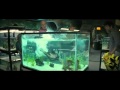 Piranha 3d official trailer