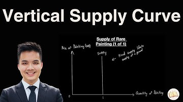 IB Economics: Vertical Supply Curve | Demand & Supply | Microeconomics | EconPrep