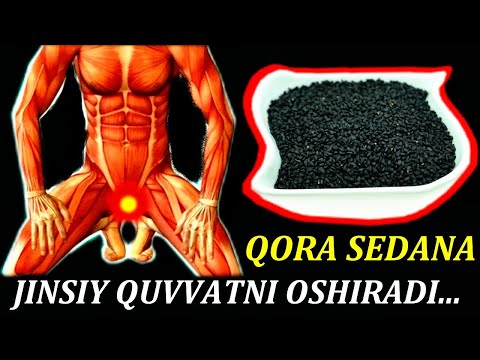 Video: O'simliklar odamlar uchun qanday foydali?