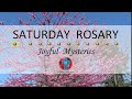 Saturday Rosary • Joyful Mysteries of the Rosary 💙 May 18, 2024 VIRTUAL ROSARY - MEDITATION