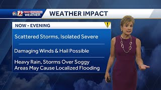 WATCH: Few storms this evening, severe risk