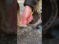 Hoof cleaning of a horse is so satisfying