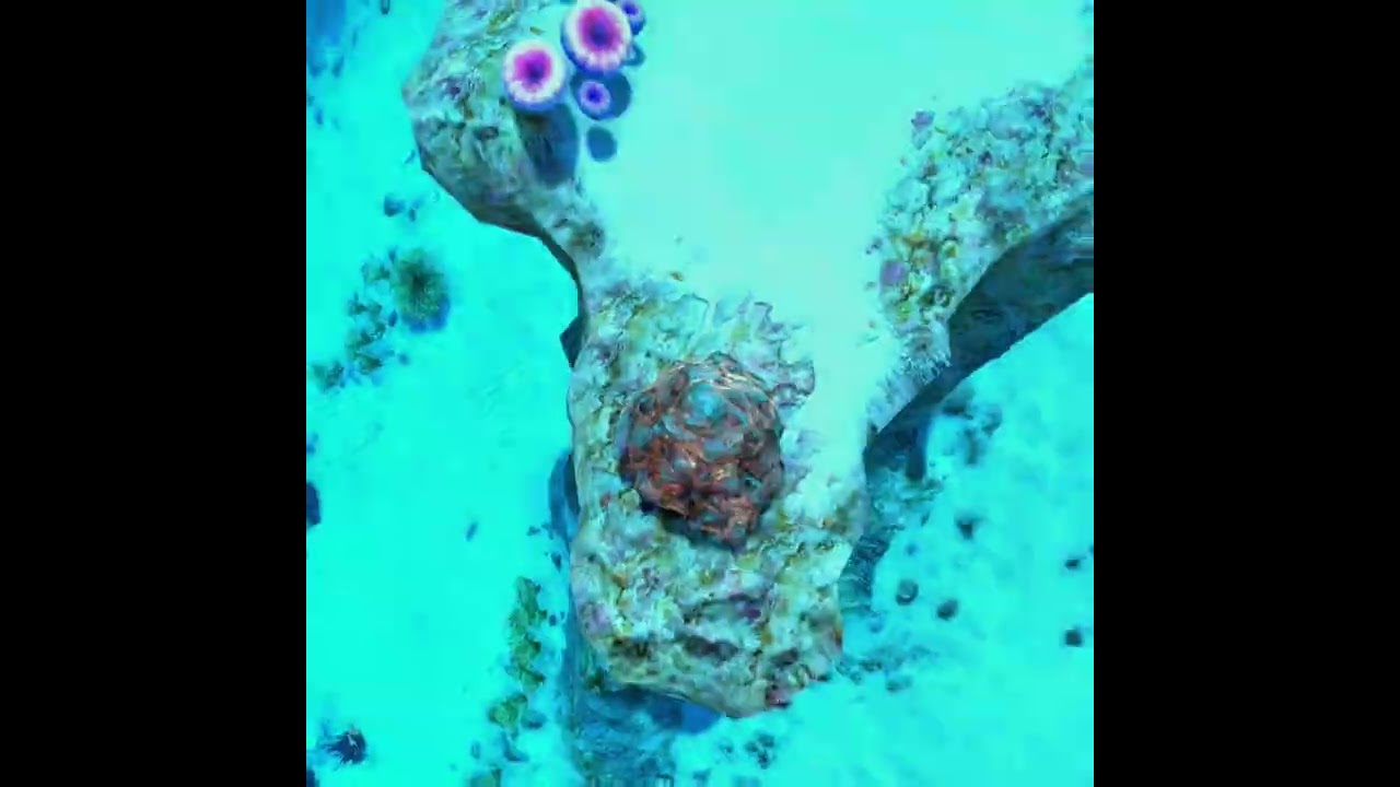 Is this the RAREST subnautica MATERIAL to EVER find...?😱😱