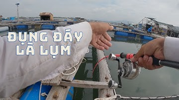 132/ Cua ( nha ) vừa chạm đáy là nó lụm luôn / Câu tráp ( hanh ) bằng mồi cua ( nha ) / CÂU IKADA