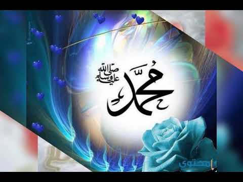 انت نور الله فجرا بدون موسيقي