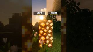 FastPBR Shaders or MakeUp Ultra Fast Shaders? #shorts