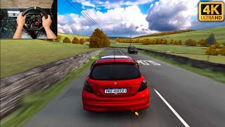 Assetto Corsa - Peugeot 207 THP | Logitech G29 Gameplay