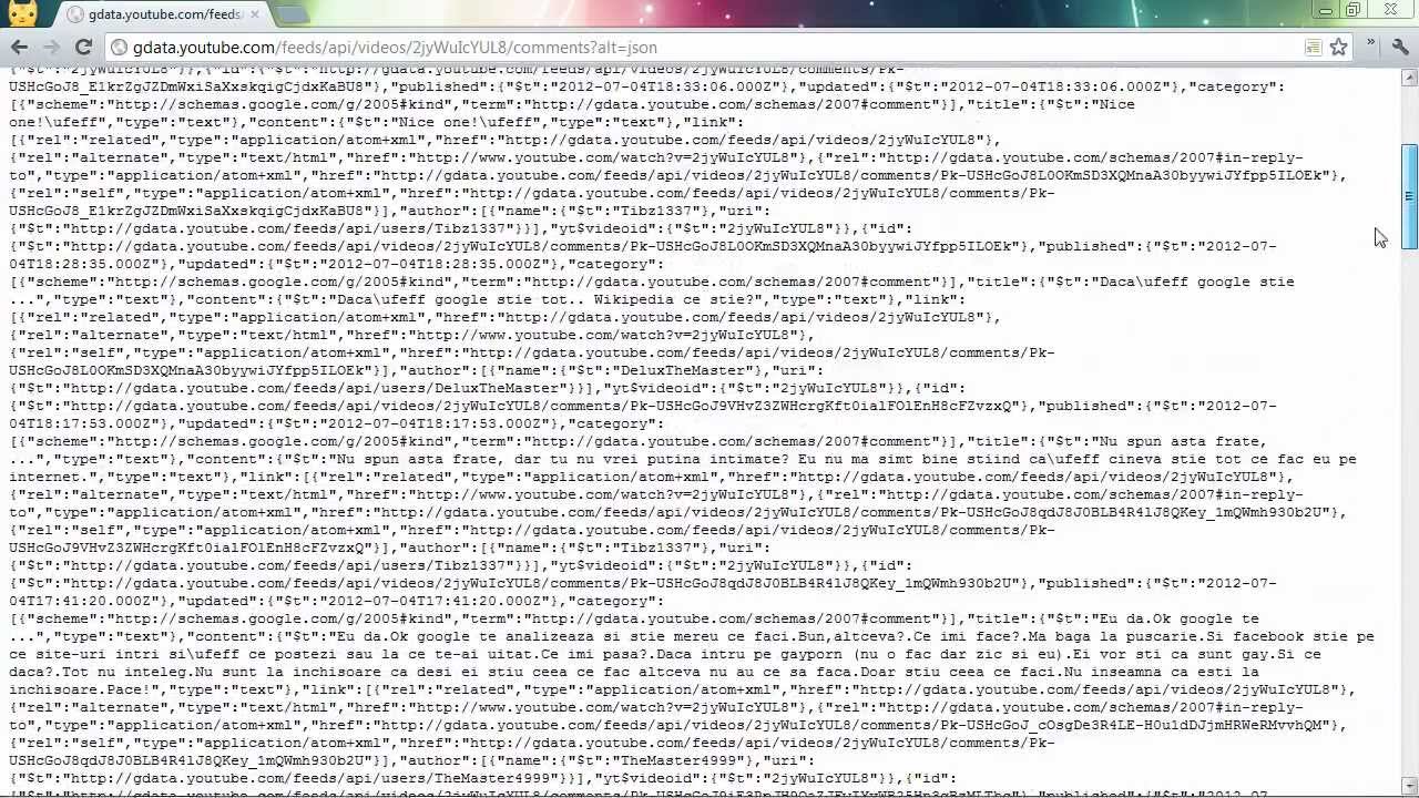 json view extensie google chrome youtube chrome format json