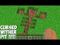 Where DOES THIS CURSED WITHER PIT LEAD in Minecraft ? SECRET WITHER TUNNEL !