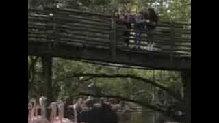 Happy Wanderer (Mickey's Fun Songs)