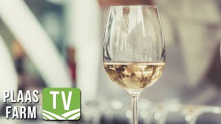 Sauvignon Blanc SA Top 10: Farm TV - 22 Oktober 2021