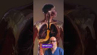The True Meaning of Holistic Medicine | A Dermatologist’s Perspective