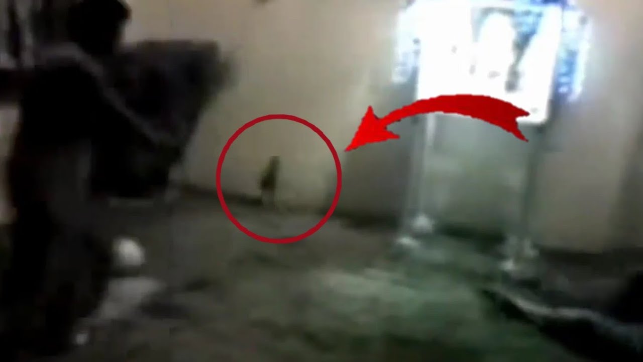 Como Son Los Duendes En La Vida Real Top 5 DUENDES REALES Captados en Cámara Parte 2 - YouTube