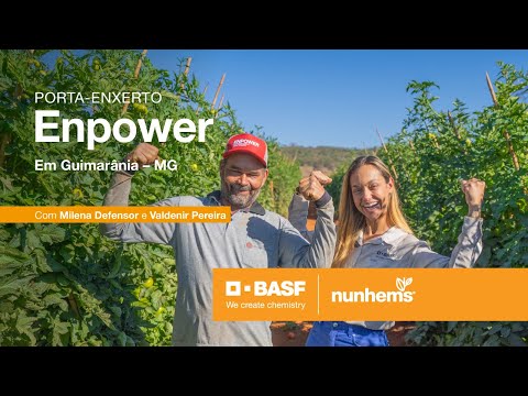 Porta-Enxerto Enpower em Guimarânia - MG
