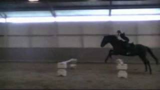 Moonlight Shadow ~ Bounce Jumps (no hands/bareback)