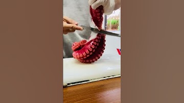Bạch tuộc sashimi khổng lồ 🐙