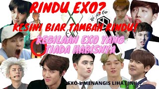 RINDU EXO? KESINI BIAR TAMBAH RINDU - EXO Funny Moment Sub Indonesia