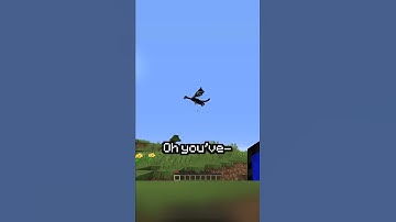 Minecraft, But If You Subscribe It Spawns A Random Mob...