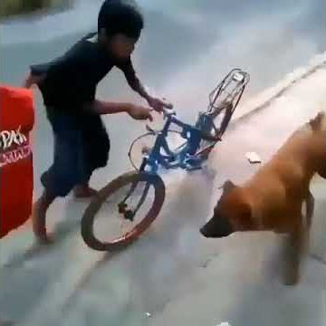 Download lagu viral anjing gila ngamuk