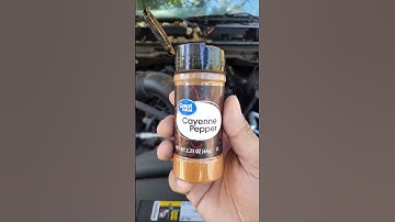 How to stop rodents from chewing up your car wires.