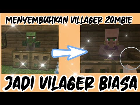 Cara menyembuhkan villager zombie jadi villager biasa