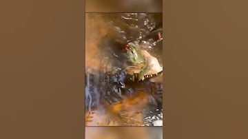 Mutantkrab vastgelegd op camera – dit heb je nog nooit gezien!