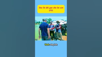 Tôi Câu Cá Rô Phi Và Kiếm Tiền Mua Gạo Cho Bà Con - Bạn Muốn Thử? (P4) #fish