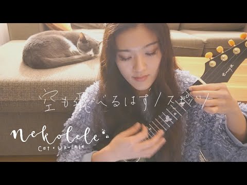 【nekolele - 猫とウクレレによるほっこりタイム】空も飛べるはず - スピッツ