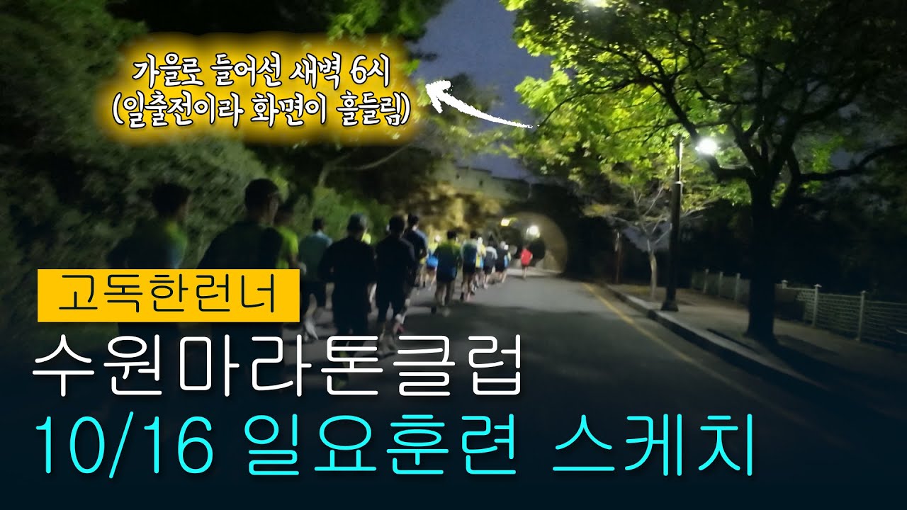 10/16 수원마라톤클럽 팔달공원 일요훈련