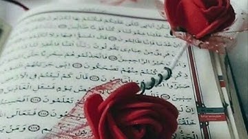 قنوت ليلة 13 رمضان 1440 حزين للقارئ سلطان الشمراني