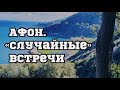 АФОН! «Случайные»встречи.