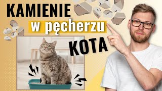 Kamienie w Pęcherzu u Kota  Poznaj przyczyny i sposoby leczenia | Kamica struwitowa