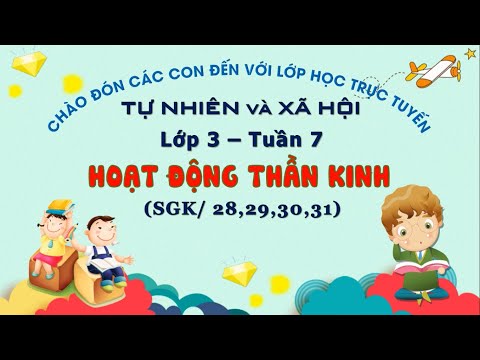 Video Khối 3 - TNXH - Hoạt động thần kinh (tiết 1&2) - Tuần 7 - youtube