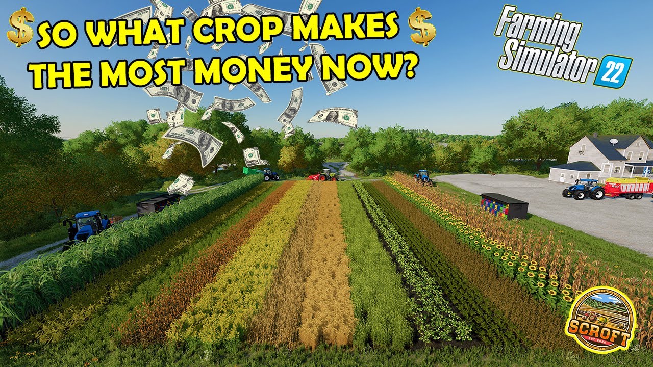 What Crop Makes The Most Money Now? | Farming Simulator 22 - YouTube