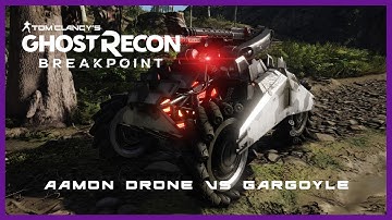 Aamon Drone inside Gargoyle arena (10-05-2021)