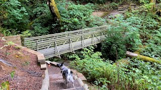 Camping at Dash Point State Park in our Winnebago Travato 59kl – Outbound Trail by Randall Wingett 179 views 2 months ago 12 minutes, 43 seconds