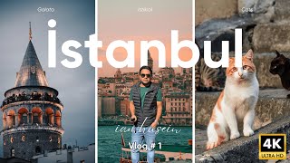 Istanbul Turkey Vlog | Full Day Tour, Istiklal Street, Galata Tower Blue Mosque \& Hagia Sofia S01EP1