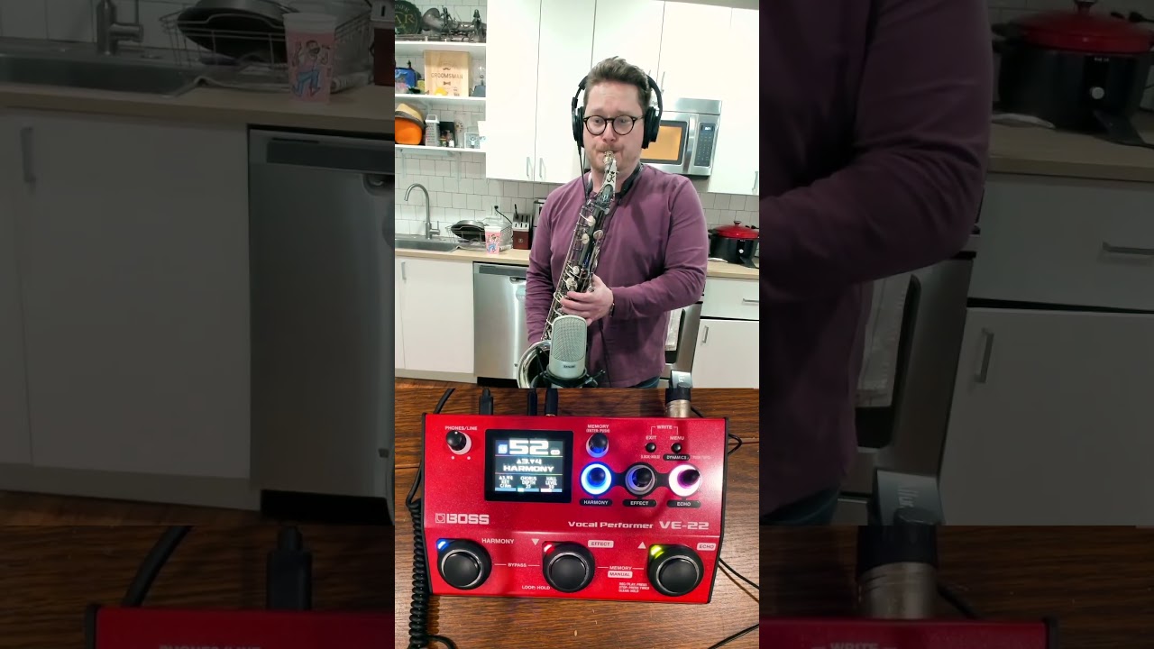 VE-22 Vocal Performer Loop Demo with Sax