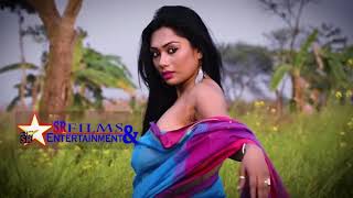 Hot Saree Without Bira