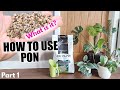 How to use Lechuza PON part 1 - What is PON - Convert plants to soil free - Get rid of fly gnats
