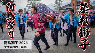 【阿島獅子2024】境内暴れ獅子：前半 (本祭)