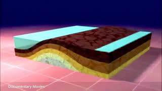 Engineering Disasters   New Orleans Engineering Fail   Documentary Movies