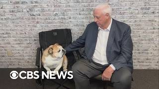 Celebrating National Dog Day with Sen. Jim Justice and Babydog