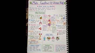 Main function of human body | All body parts #body #nursing #NEET2026 #gnm #bsc #mbbs #shortsnotes