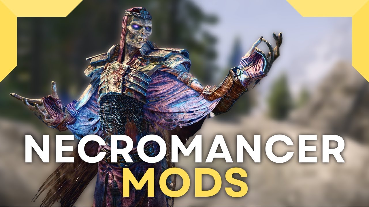 Simple NPC Outfit Manager Traducao PT-BR at Skyrim Special Edition Nexus -  Mods and Community