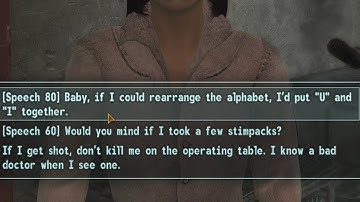 Fallout The Frontier - The Most Awkward Moment